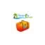 tenerifeforum.site favicon