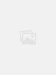 yourvictory.nl favicon