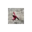 juliettebergmanescalade.fr favicon