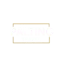 paltino.com favicon