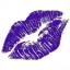 paymedaddy.com favicon