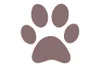 rafflescockapoos.co.uk favicon