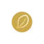 timorestaurant.it favicon