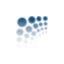 brainguru.in favicon