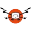 skypic.fr favicon