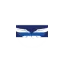 bluelineaviation.com favicon
