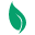 littlegreenpharma.com favicon