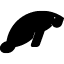 manateeacademy.com favicon