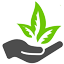 myherba.de favicon