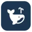 Productwhale favicon