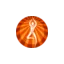 sycyoga.com favicon