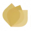 themedispa.com favicon