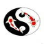 koi-teich24.de favicon