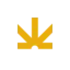 readverse.co favicon