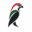 smarthandsdocs.com favicon