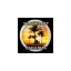 sunselectbahamas.com favicon