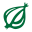 theonion.com favicon