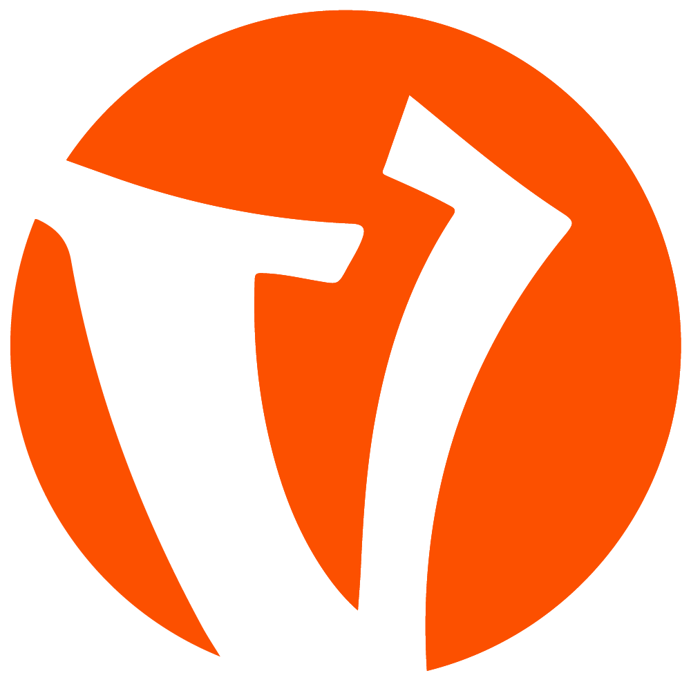 vcompany.nl favicon