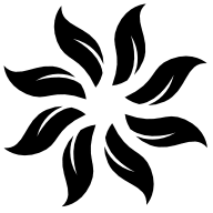vidanta.com favicon
