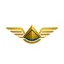 blueheightaviation.com favicon