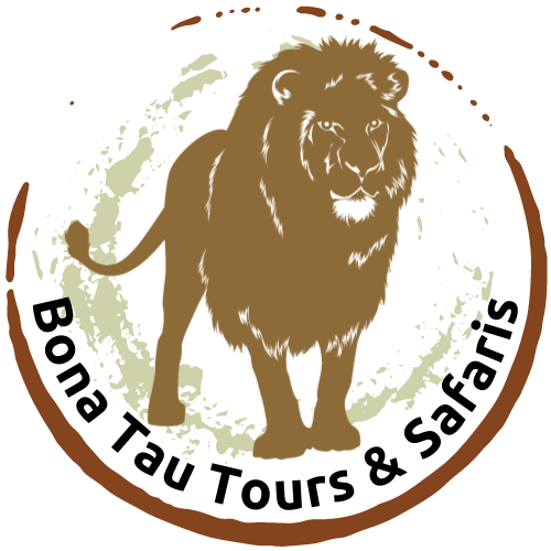 bonatautours.co.za favicon