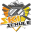 braunlage-skischule.de favicon