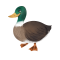 buitenhuisjeshuren.nl favicon