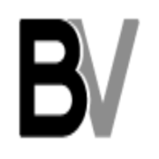 bulkvm.com favicon