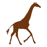 lgrworld.com favicon