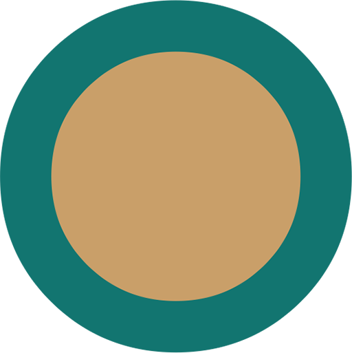 optium.com.tr favicon