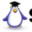 shiningace.com favicon