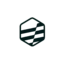 bluevidaintl.com favicon