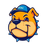 cincydegreeofcomfort.com favicon