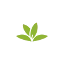 identify.plantnet.org favicon