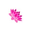 ladykart.in favicon