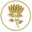 wondersathomeofficial.com favicon