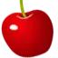ceriseshirts.com favicon
