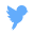 chirpish.co favicon