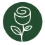 envioflores.lat favicon