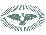 spitalapotheke.de favicon