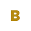 brandingmastery.ch favicon