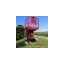 gribskovliftudlejning.dk favicon