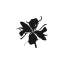 wannashine.dk favicon