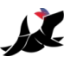 dbsdb.dk favicon
