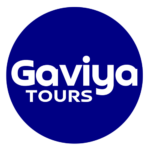 gaviya.com favicon