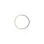 karinaconradi.dk favicon