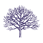 lathamtimber.co.uk favicon