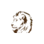 safariandexcursion.co.ke favicon