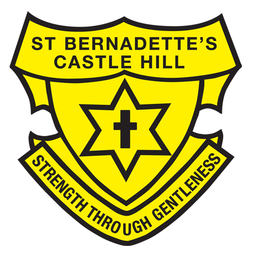 stbernadetteschill.catholic.edu.au favicon