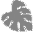 easterntropicals.uk favicon